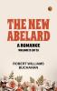 The New Abelard: A Romance Volume 2 (of 3)