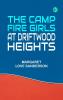 The Camp Fire Girls at Driftwood Heights