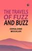 The Travels of Fuzz and Buzz