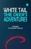 White Tail the Deer's Adventures