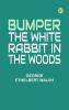 Bumper the White Rabbit in the Woods
