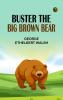 Buster the Big Brown Bear