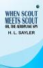 When Scout Meets Scout; or The Aeroplane Spy