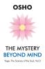 The Mystery Beyond Mind