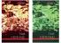 Osho Books : I Say Unto You (Vol I) + I Say Unto You (Vol II)
