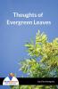 Thoughts Of Evergreen Leaves - Bookalooza