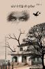 The world behind the eyes
