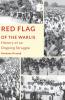 Red Flag of the Warlis