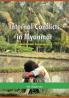 Internal Conflicts in Myanmar