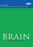 Brain Training & Conversion