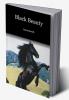 Black Beauty