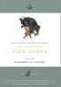 The Adventures of Amir Hamza