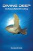 DIVING DEEP into Ramana Maharshi’s teachings