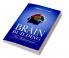Brain Building for Achievement