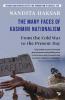 The Many Faces of Kashmiri Nationalism