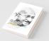 Gandhi - A Biography