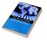The Rise of IWAR: Identity Information and the Individualization of Modern Warfare