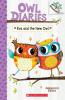 Eva and the New Owl: A Branches Book (Owl Diaries#4)