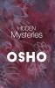 Hidden Mysteries