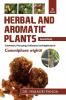 HERBAL AND AROMATIC PLANTS – 35. Commiphora wightii (Guggul)