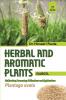 HERBAL AND AROMATIC PLANTS – 37.  Plantago ovata (Isabgol)