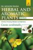 HERBAL AND AROMATIC PLANTS – 48. Cassia occidentalis (Senna)