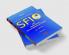 Law & Practice relating to SFIO and Inspection Investigation & Fraud