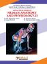 Human Anatomy And Physiology - 2