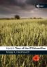 Hardy's Tess of the D'Urbervilles: A Reader's Guide