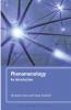 Phenomenology: An Introduction