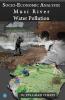 SOCIO ECONOMIC ANALYSIS: MUSI RIVER WATER POLLUTION