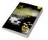 The Constitution of English Literature: The State the Nation and the Canon
