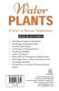 WATER PLANTS