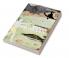An Introduction to Indian Philosophy: Hindu and Buddhist Ideas from Original Sources