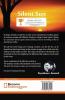Silent Sun