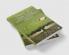 Trees of our life (Botany Chemistry Medicine)