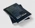 Succeeding Postmodernism: Language and Humanism in Contemporary American Literature