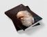 The Autobiography of Charles Darwin|Charles Darwin|ENGLISH|INSIGHT PUBLICA
