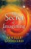 The Secret of Imagining