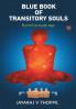 Blue Book of Transitory Souls Beyond an Escape Saga