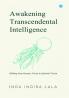 Awakening Transcendental Intelligence