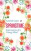 Springtime: Impressions of a Young Mind