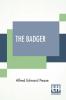 The Badger