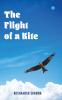 The Flight of a Kite