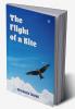 The Flight of a Kite