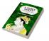 A NOBLE QUEEN A ROMANCE OF INDIAN HISTORY VOL I