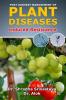 Post Harvest Management of Plant Diseases