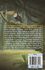 Rick Rogers & The Elemental World : The Golden Marbles