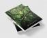 Sacred Groves [ A socio cultural study ]