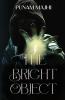 The Bright Object